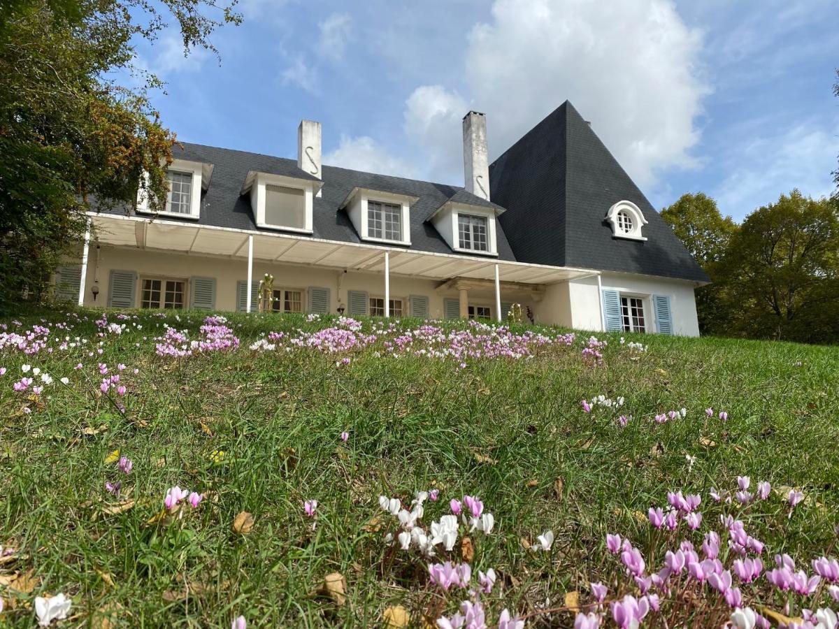 Manoir et Appartements au Domaine de Bize Mirepoix Mirepoix  Extérieur photo